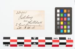 Etikett zu Geweihspitze (NHMW-PRAE-026901)